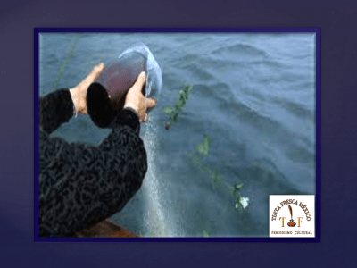 Territorios Baldíos