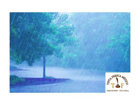 Territorios baldíos